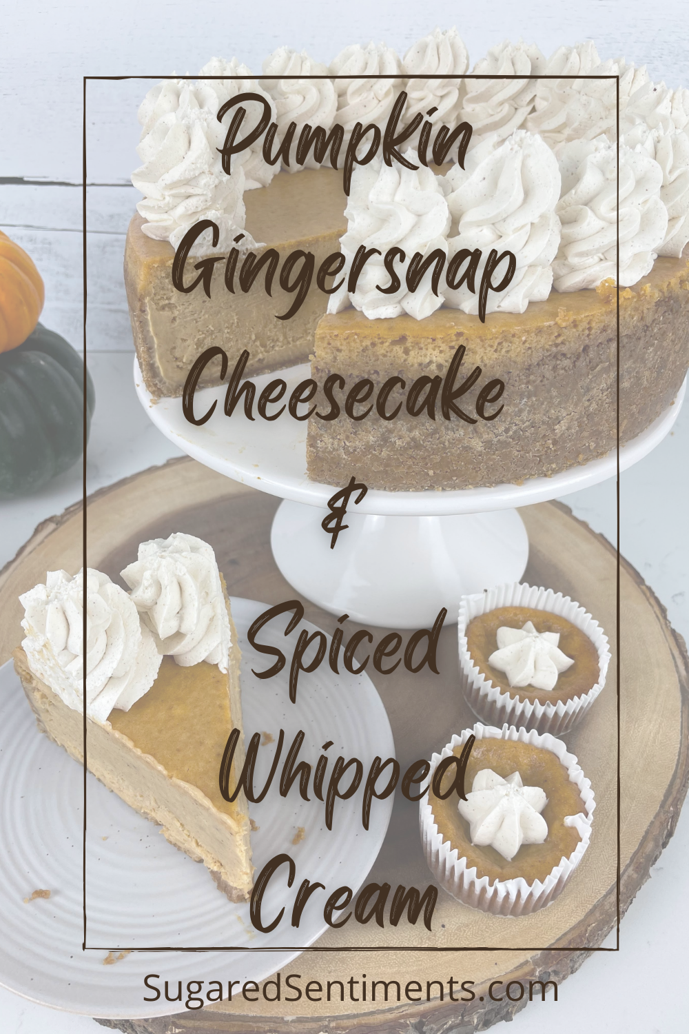 This BEST EVER Pumpkin Gingersnap Cheesecake & Spiced Whipped Cream is better than anything you can buy at a restaurant or store front!